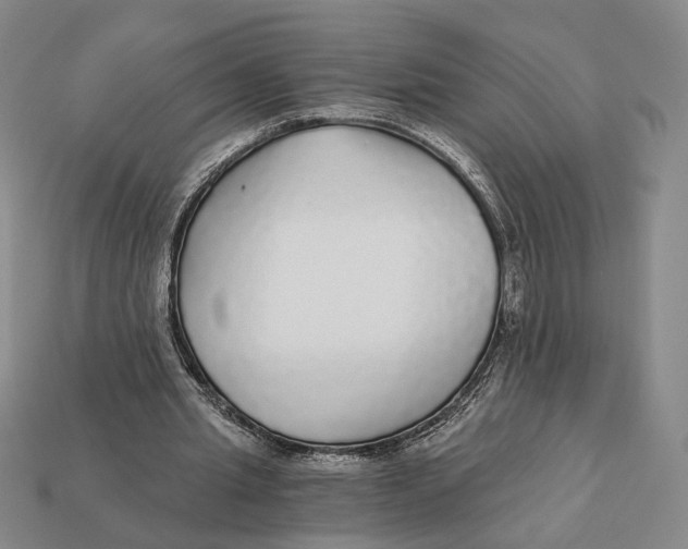 X0000112430437200909111033