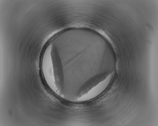 X0000112430438200909111033