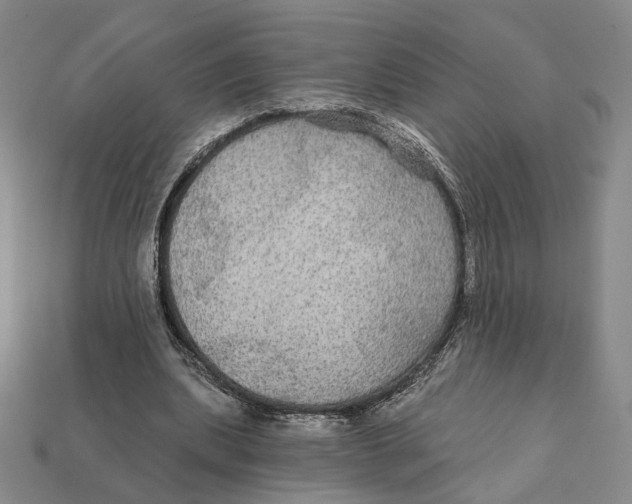 X0000112430439200909111033