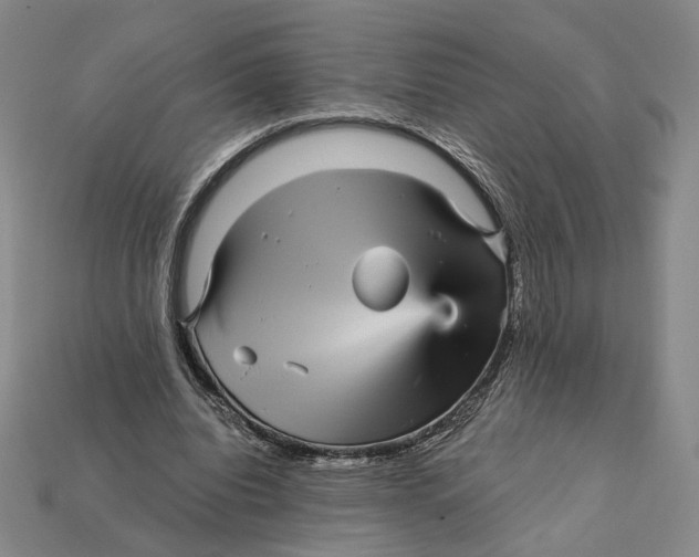 X0000112430440200909111033