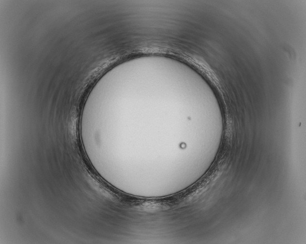 X0000112430441200909111033