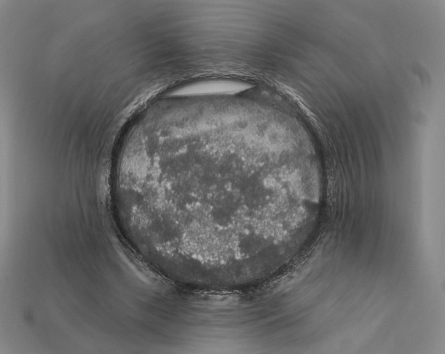 X0000112430443200909111033