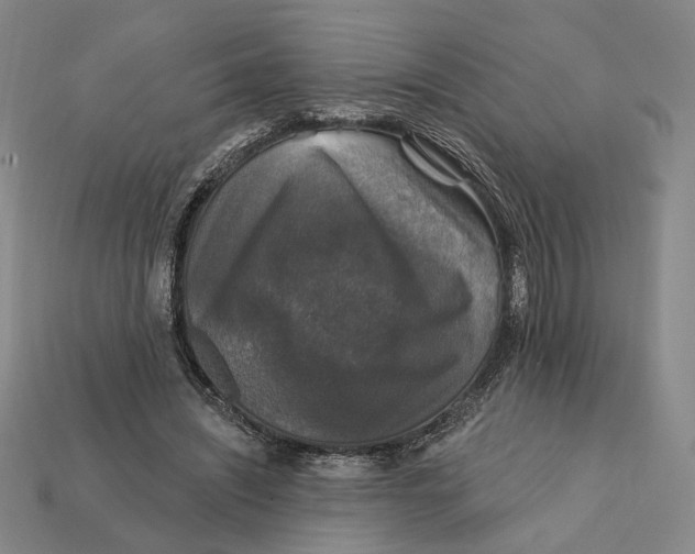 X0000112430444200909111033
