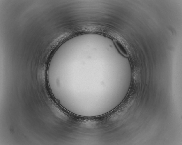 X0000112430445200909111033
