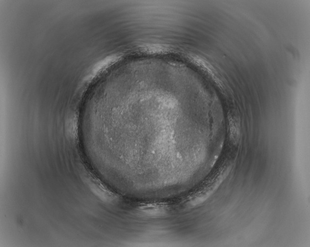 X0000112430447200909111033