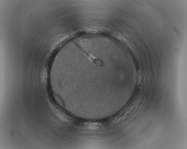 X0000112430448200909111033