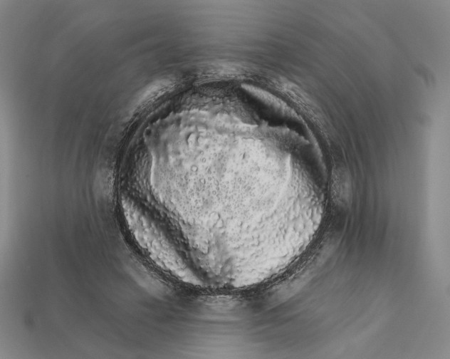 X0000112430449200909111033