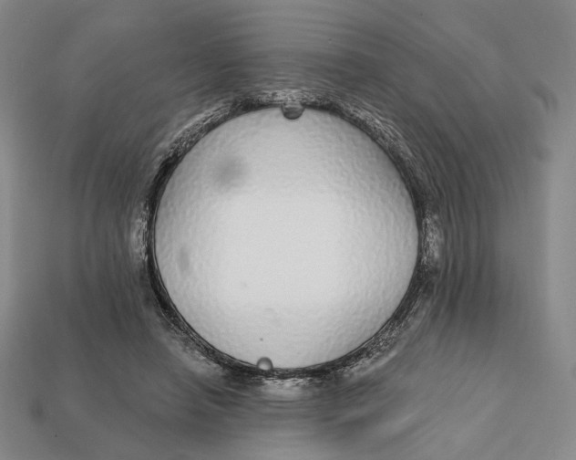 X0000112430450200909111033