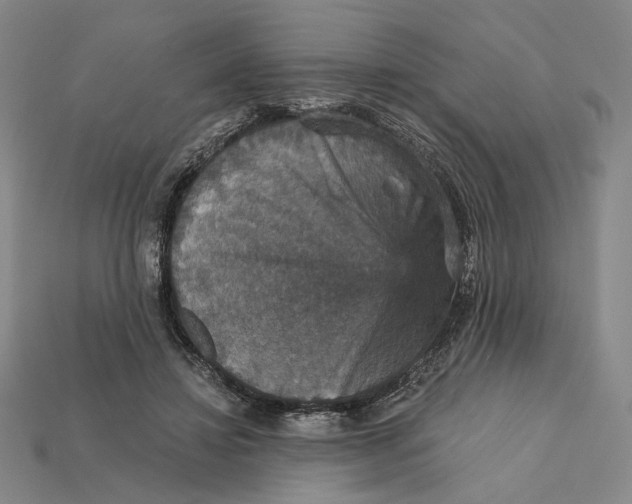 X0000112430452200909111033