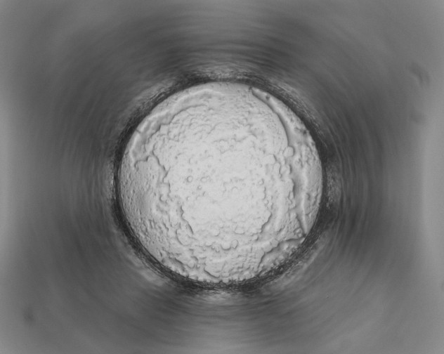 X0000112430453200909111033