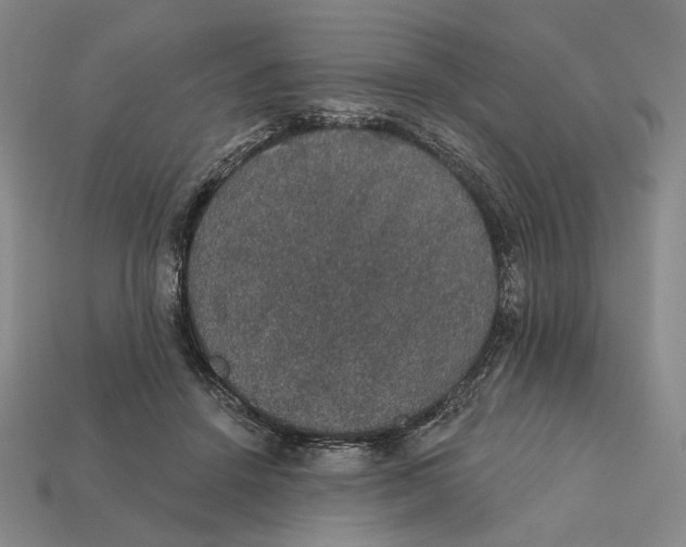 X0000112430456200909111033