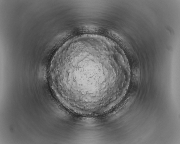 X0000112430457200909111033