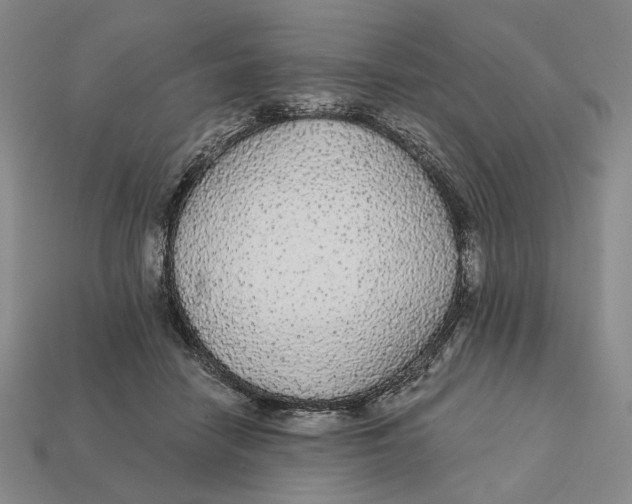 X0000112430458200909111033
