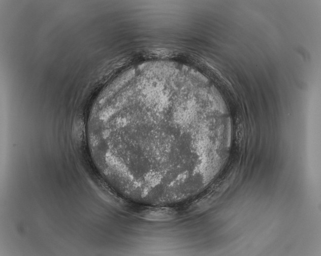 X0000112430459200909111033