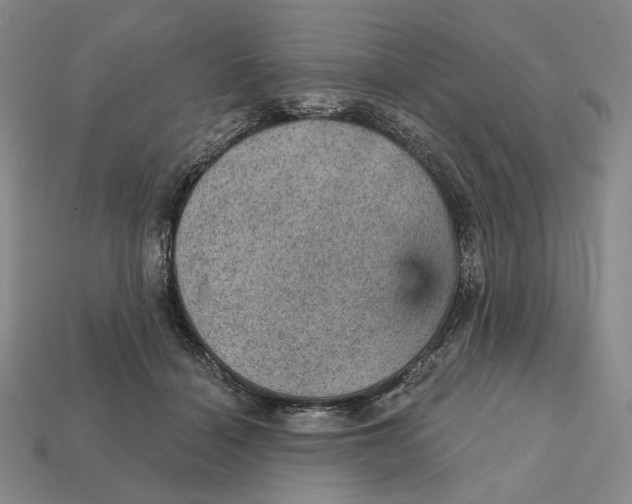 X0000112430460200909111033