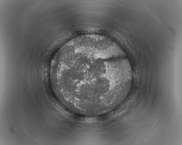 X0000112430462200909111033