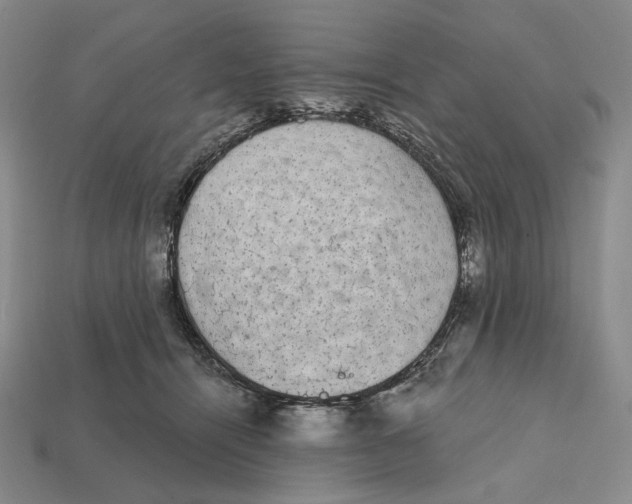 X0000112430464200909111033