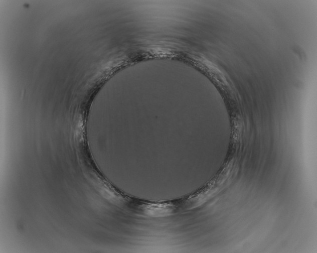 X0000112430465200909111033