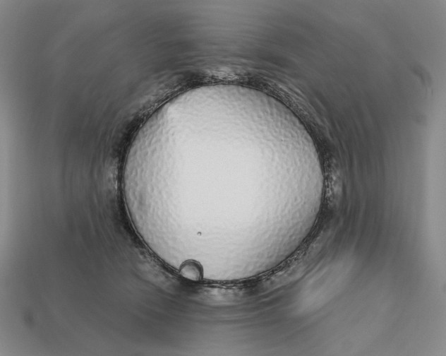 X0000112430466200909111033