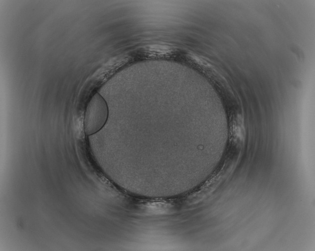 X0000112430468200909111033
