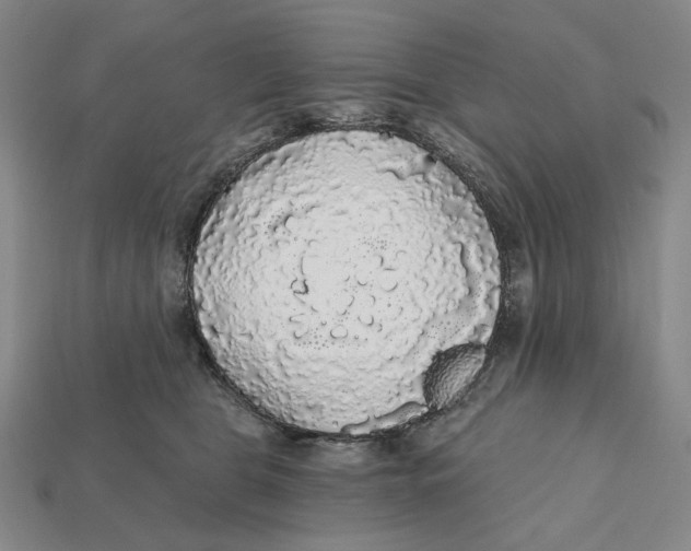 X0000112430469200909111033
