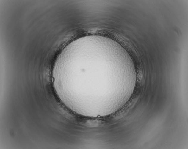 X0000112430470200909111033