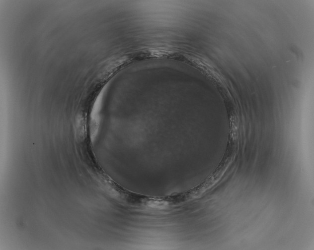 X0000112430471200909111033