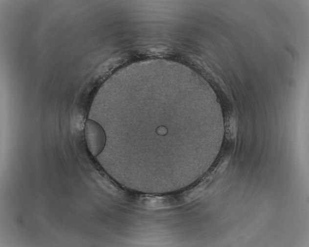 X0000112430472200909111033