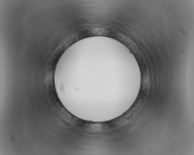 X0000112430473200909111033