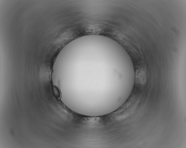 X0000112430474200909111033