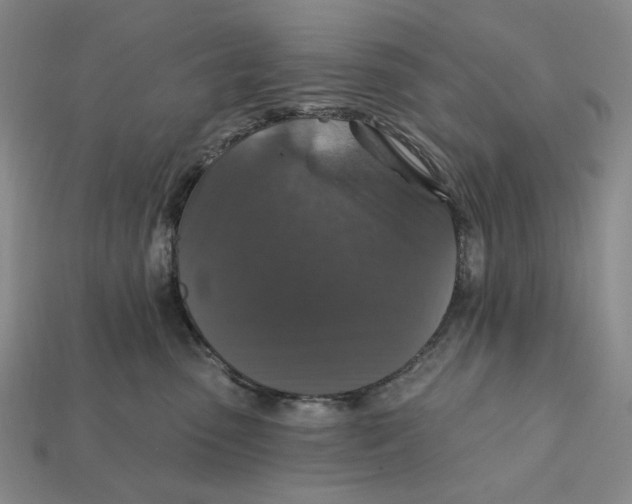 X0000112430475200909111033