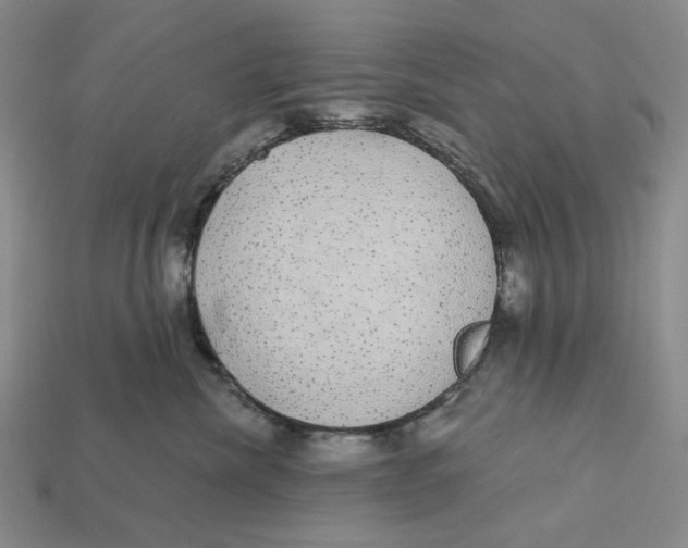 X0000112430476200909111033