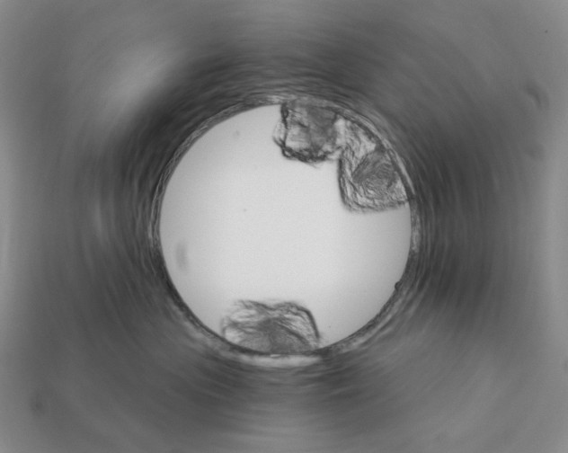 X0000112430477200909111033