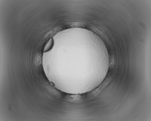 X0000112430478200909111033