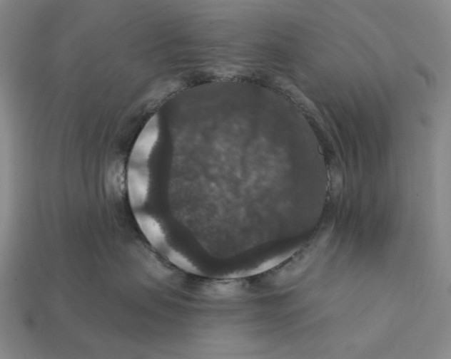 X0000112430479200909111033