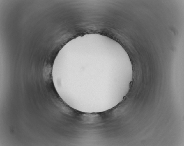 X0000112430480200909111033