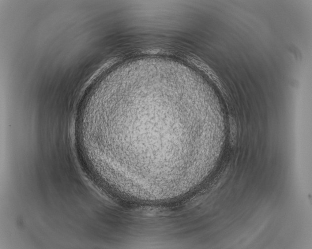 X0000112430482200909111033