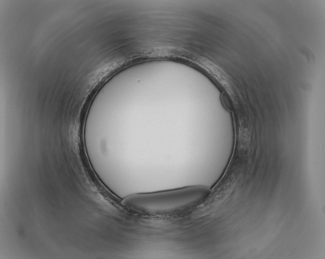 X0000112430485200909111033
