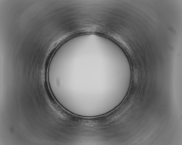 X0000112430486200909111033