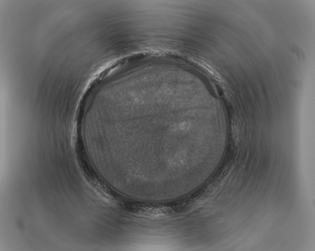 X0000112430488200909111033