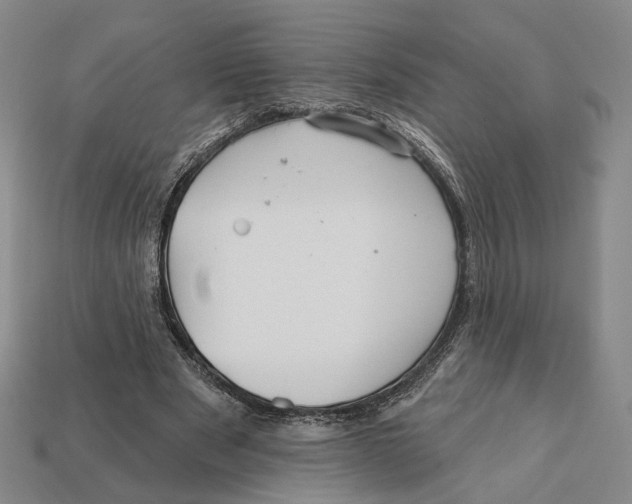 X0000112430489200909111033