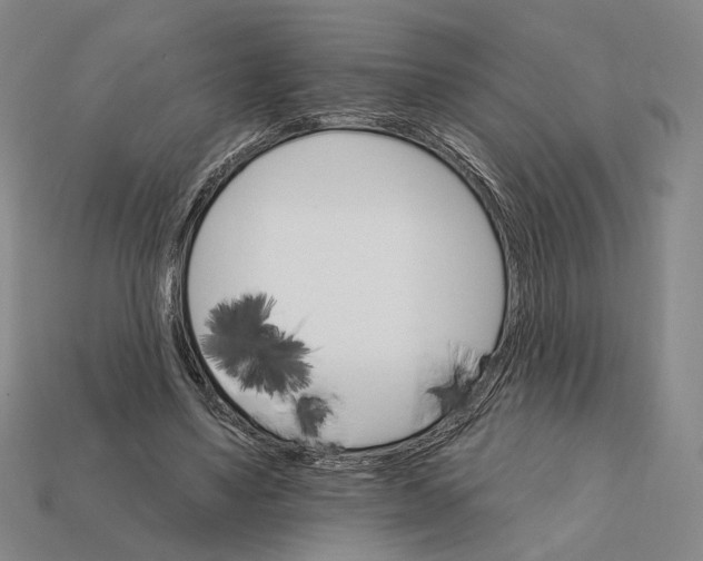 X0000112430491200909111033