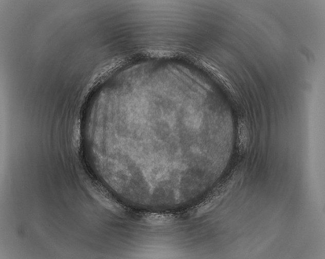 X0000112430494200909111033