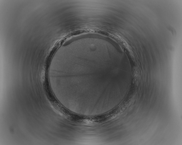 X0000112430496200909111033