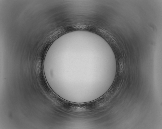 X0000112430498200909111033