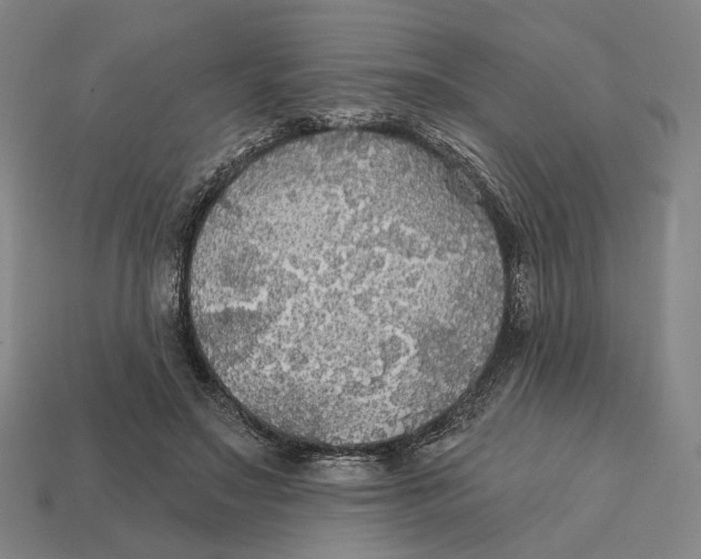 X0000112430499200909111033