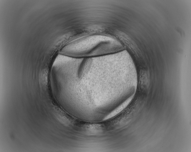 X0000112430501200909111033