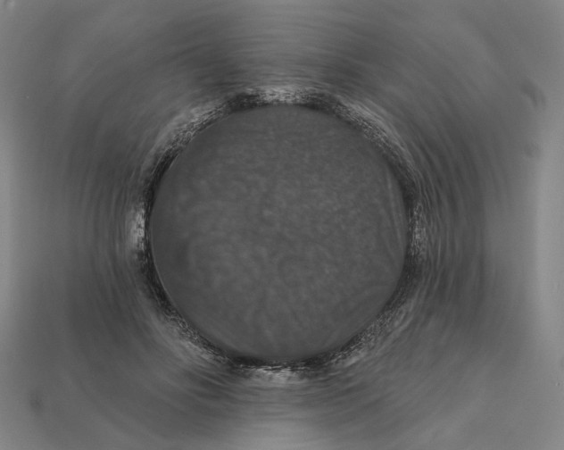 X0000112430502200909111033