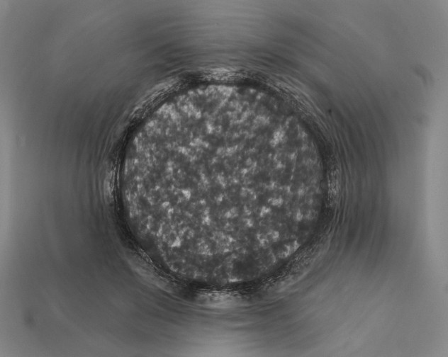 X0000112430503200909111033