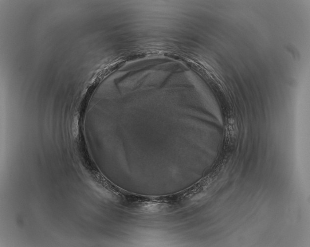 X0000112430504200909111033